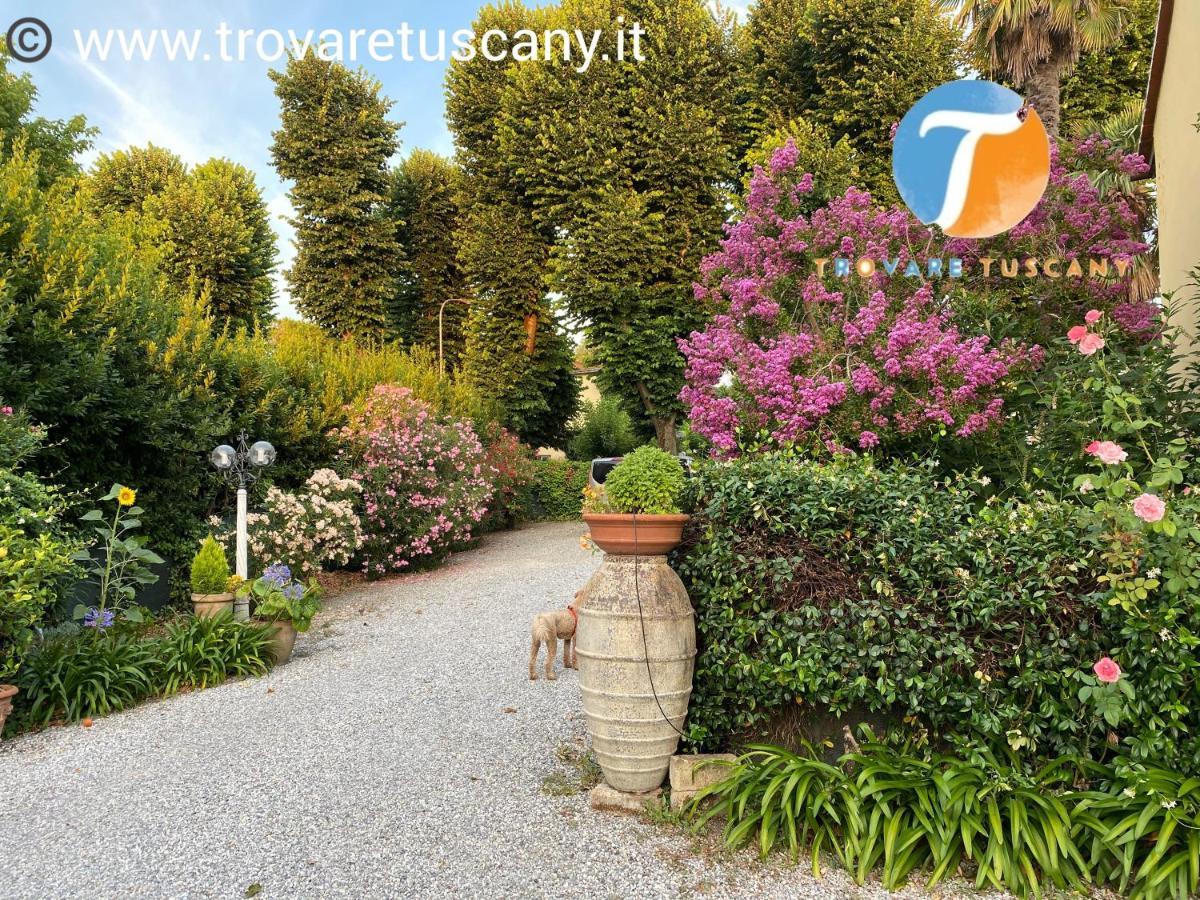 Villa Lenz'S B&B Vicopisano 外观 照片